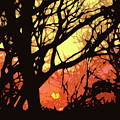 Spectacular Sunset Digital Art by Nancy Olivia Hoffmann Spectacular Sunset Digital Art by Nancy Olivia Hoffmann