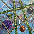 Spheres #5 by Micah Guenther Spheres #5 by Micah Guenther