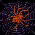 Spider Art Digital Art by Ronald Mills Spider Art Digital Art by Ronald Mills