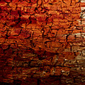 Spirit Fire Digital Art by Linda Bailey Spirit Fire Digital Art by Linda Bailey