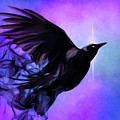 Spirit Raven by Susan Maxwell Schmidt