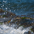 Splash Photograph by Linda Bonaccorsi Splash Photograph by Linda Bonaccorsi
