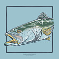 Spotted Seatrout Digital Art by Kevin Putman Spotted Seatrout Digital Art by Kevin Putman