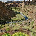 Spring at Smith Rock by Terry Dorvinen