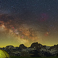Spring Colors Photograph by Ralf Rohner