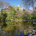 Spring in Lithia Park by Diane Moller