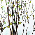 Spring by Julie Tibus