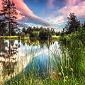 Spring Lake Photograph by Evgeni Dinev Spring Lake Photograph by Evgeni Dinev