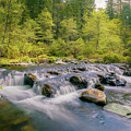 Spring on Squaw Valley Creek by Mike Lee