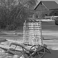 Spring Snowstorm by Sue Capuano