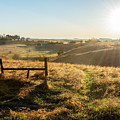 Spring Sun Photograph by Troy Stapek Spring Sun Photograph by Troy Stapek