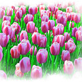 Spring Tulips Mixed Media by Moira Law Spring Tulips Mixed Media by Moira Law