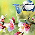 Spring Twittering Painting by Espero Art Spring Twittering Painting by Espero Art