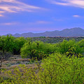 Spring Valley View 25090 Photograph by Mark Myhaver Spring Valley View 25090 Photograph by Mark Myhaver