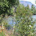 Spring Views From The Deck On The Methow River by Omashte Photograph by Omaste Witkowski Spring Views From The Deck On The Methow River by Omashte Photograph by Omaste Witkowski