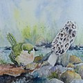 Spring Visitor by Bev Morgan