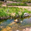 Spring Wildflowers and Clear Creek at Enchanted Rock, Texas by Brigitte Blanchette Thompson