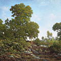 Springtime - Digital Remastered Edition by Theodore Rousseau Springtime - Digital Remastered Edition by Theodore Rousseau