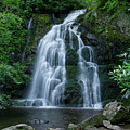 Spruce Flats Falls 22 Photograph by Phil Perkins Spruce Flats Falls 22 Photograph by Phil Perkins