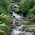 Spruce Flats Falls 31 Photograph by Phil Perkins Spruce Flats Falls 31 Photograph by Phil Perkins