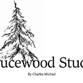 Sprucewood Studios Photograph by Charles Vice Sprucewood Studios Photograph by Charles Vice