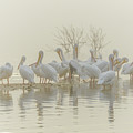 Squadron in the Fog Photograph by Christopher Rice Squadron in the Fog Photograph by Christopher Rice