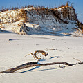 St. Andrew's Sand Dunes by Kelley King