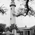 St. Simons Island Lighthouse on a windy day Photograph by John Simmons St. Simons Island Lighthouse on a windy day Photograph by John Simmons