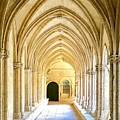 St. Trophime Cloister in Arles Photograph by Donna Martin Artisan Light St. Trophime Cloister in Arles Photograph by Donna Martin Artisan Light