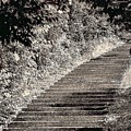 Stairs1 Photograph by John Linnemeyer Stairs1 Photograph by John Linnemeyer