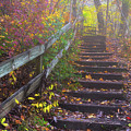 Stairway to Autumn Photograph by Darren White Stairway to Autumn Photograph by Darren White