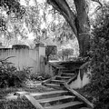 Stairway to Heaven Photograph by Shara Abel Stairway to Heaven Photograph by Shara Abel