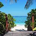 Tropical Getaway by Tyler Rooke