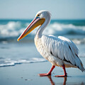 Standing on the Sand by Kim Hojnacki
