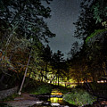 Starry Sky Over Wolf Creek Letchworth State Park by Mark Papke