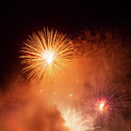 Stately Burst Rising Above by Bonnie Follett