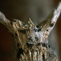 Stick God by Ivars Vilums