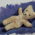 Still Life Teddy by Martin Davey