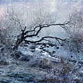 Stillness of Heart by Randi Grace Nilsberg
