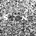 Stone by Onedayoneimage Photography