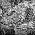 Stone Snakehead Carving - Chichen Itza Photograph by Frank Mari Stone Snakehead Carving - Chichen Itza Photograph by Frank Mari