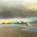 Stormy Landing by Macro Abundance Art