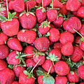 Strawberry Background Photograph by Mikhail Kokhanchikov Strawberry Background Photograph by Mikhail Kokhanchikov