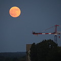 Strawberry Moon in Paris by Pat Moore