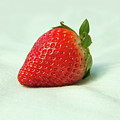Strawberry Photograph by MPhotographer Strawberry Photograph by MPhotographer