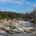 Stream in Catalina Mountains Digital Art by Tammy Keyes Stream in Catalina Mountains Digital Art by Tammy Keyes
