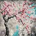Street Style Cherry Blossoms by Freddy B