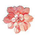 Succelent Rose Mask Painting by Luisa Millicent Succelent Rose Mask Painting by Luisa Millicent