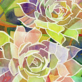 Succulent Mirage 2-Horizontal Painting by Hailey E Herrera Succulent Mirage 2-Horizontal Painting by Hailey E Herrera
