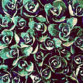 Succulent Plant Leaves Digital Art by Phil Perkins Succulent Plant Leaves Digital Art by Phil Perkins